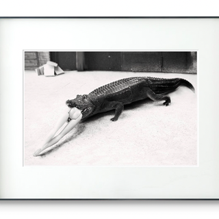 PICA Photo 拾相记 Alberto Alicata 作品《Iconic B #4》28 x 33 cm 内衬装裱 限量100件