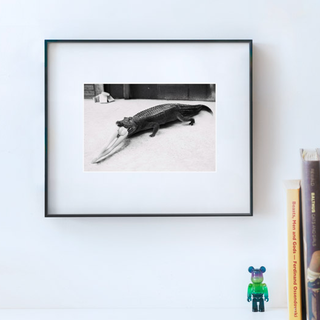 PICA Photo 拾相记 Alberto Alicata 作品《Iconic B #4》28 x 33 cm 内衬装裱 限量100件