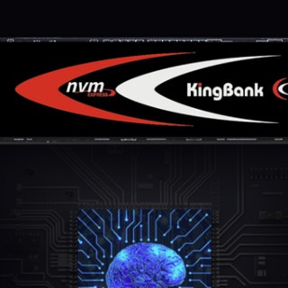 KINGBANK 金百达 KP230 NVMe M.2 固态硬盘 240GB (PCI-E3.0)