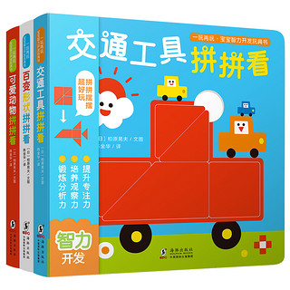 《宝宝智力开发玩具书：一玩再玩》（套装全3册）