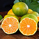 沃多鲜 青皮蜜橘子  中果55-60mm  净重5斤