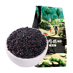 SHI YUE DAO TIAN 十月稻田 黑米 1kg