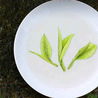 贡苑 安吉白茶 200g 礼盒装