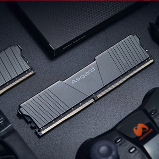 Asgard 阿斯加特 洛极 T2系列 DDR4 2666MHz 台式机内存 马甲条 黑色 8GB