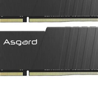 Asgard 阿斯加特 洛极 T2 DDR4 3200MHz 台式机内存 马甲条 黑色 32GB 16GB*2
