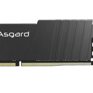 Asgard 阿斯加特 洛极 T2 DDR4 3200MHz 台式机内存 马甲条 黑色 16GB