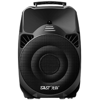 SAST 先科 A89WM 户外 蓝牙音箱 黑色
