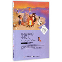 《中国新生代儿童文学作家精品书系·暮色中的小矮人》