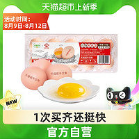 WENS 温氏 天露谷物鲜鸡蛋农村优级土鸡蛋10枚正宗柴鸡蛋