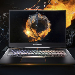 雷神911pro晖金156寸游戏笔记本电脑i711800h16gb512gb144hzrtx3070