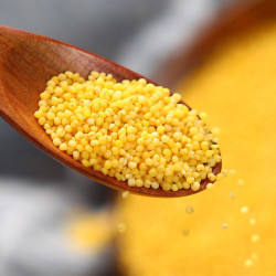 四季果蜜金苗黄小米2斤