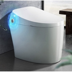 HEGII 恒洁 QE5 家用全自动坐便器 305mm