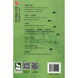 《动物小说大王沈石溪·注音读本：狼王梦》（套装共3册）