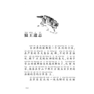 《动物小说大王沈石溪·注音读本：狼王梦》（套装共3册）