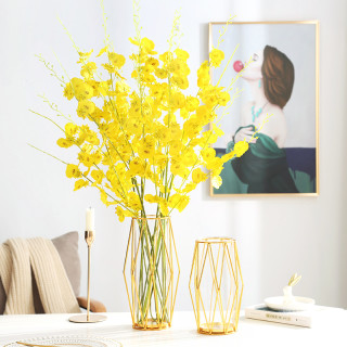 透明花瓶优惠 哪里买透明花瓶便宜 性价比高的透明花瓶推荐 什么值得买