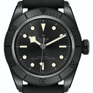 TUDOR 帝舵 Black Bay 41毫米自动上链腕表 m79210cnu-0001