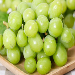plus会员baiguojing百果精阳光玫瑰葡萄晴王青提2kg
