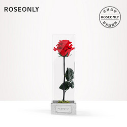 ROSEONLY 诺誓 永生玫瑰花经典系列 为爱而生花盒 单枝