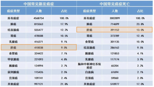 好药保·护肝保障计划 300万保额 赠送肝癌早筛+全年用药