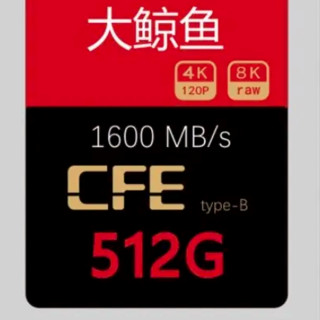 DAJINGYU COXCKOC 大鲸鱼高端系列 XQD 相机存储卡 512GB（1600MB/S）