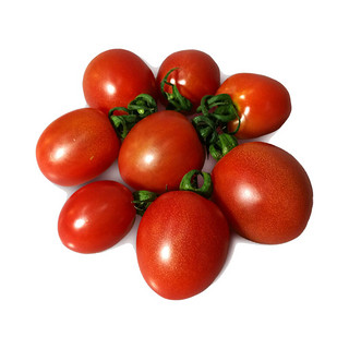 绿农说 樱桃番茄 500g