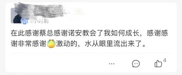 棒潮玩 蔬菜精灵菜狗娃娃抱枕 蹲姿/趴姿/坐姿 多尺寸可选
