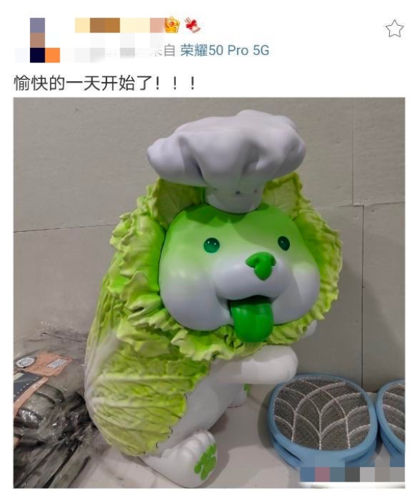 棒潮玩 蔬菜精灵菜狗娃娃抱枕 蹲姿/趴姿/坐姿 多尺寸可选
