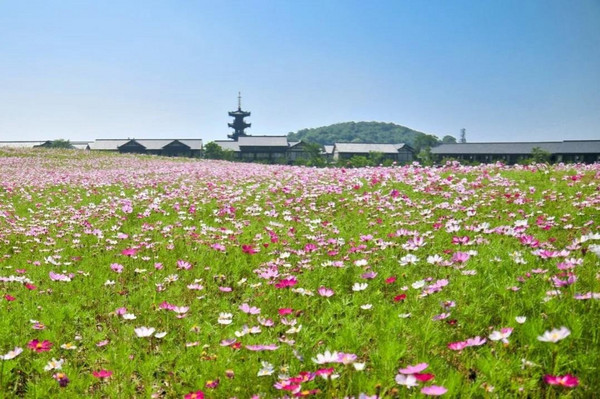 包邮区文旅标杆，演绎唐风雅韵！无锡拈花湾波罗蜜多酒店 景观房1晚套餐（含双早+双人拈花湾门票）