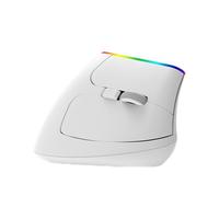 DeLUX 多彩 M618C 2.4G无线鼠标 1600DPI RGB 白色