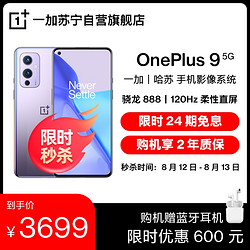 OnePlus 一加 9  12GB+256GB  紫翼