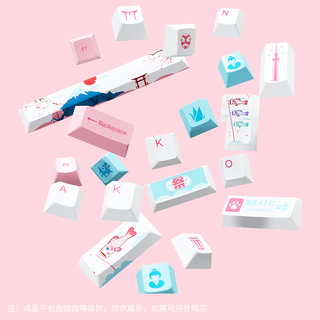 Akko 艾酷 樱花键帽 东京增补包 CHERRY轴 108键