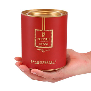 天之红 REDSUNION 特级 祁门红茶 100g