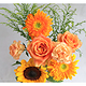 新人专享：考拉自营鲜花馆  定制鲜花“幸运的你”送花瓶