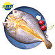 SAN DU GANG 三都港 宁德大黄花鱼 鱼鲞500g (已调味) 海鲜水产 生鲜 鱼类 健康轻食