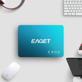 EAGET 忆捷 E300 SATA 固态硬盘 120GB（SATA3.0）