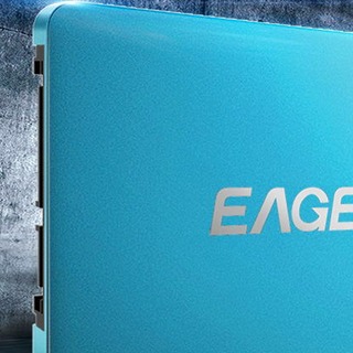 EAGET 忆捷 E300 SATA 固态硬盘 120GB（SATA3.0）