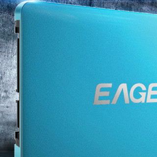 EAGET 忆捷 E300 SATA 固态硬盘 120GB（SATA3.0）