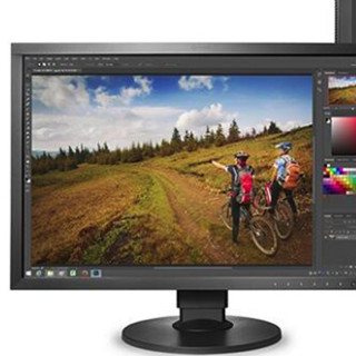 EIZO 艺卓 CG系列 CG2420 24英寸 IPS 显示器（1920×1200、108%NTSC）