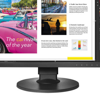 EIZO 艺卓 CG系列 CG2420 24英寸 IPS 显示器（1920×1200、108%NTSC）