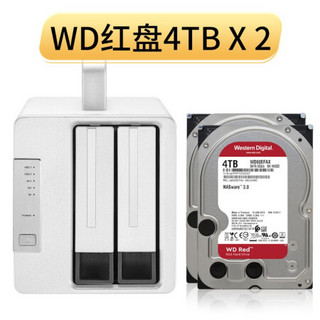 铁威马 TERRA MASTER 双盘Thunderbolt3雷电3硬盘盒 磁盘阵列 扩展坞（4TB硬盘*2）