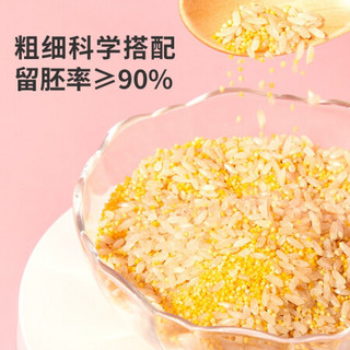 哆猫猫 小米胚芽米宝宝杂粮粥米小黄米儿童餐350g