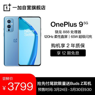 OnePlus 一加 9 5G旗舰120Hz 柔性屏8GB 128GB 鲸蓝 骁龙888 65W快充 哈苏专业模式 超广角拍照游戏手机