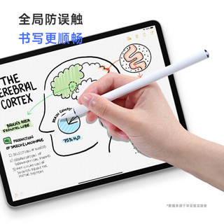 Biaze 毕亚兹 电容笔 iPad手写笔 苹果pencil平板电脑触控笔iPad 10.2/Air4/mini5/Pro 11平替防误触绘画笔275