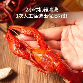 京东京造 麻辣小龙虾 1.5kg*2盒 4-6钱 净虾750g*2盒 中号50-66只 餐饮同款