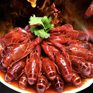 redchef 红小厨 小龙虾 34-50只 1.8kg 礼盒装