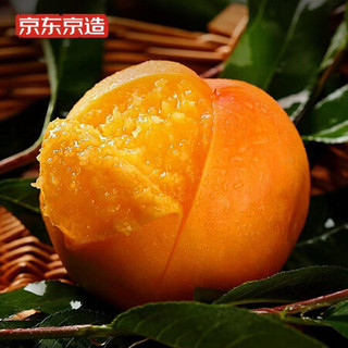 星果乐 沂蒙山黄金油桃 净重4.5斤 单果2.5两起 桃子 新鲜水果