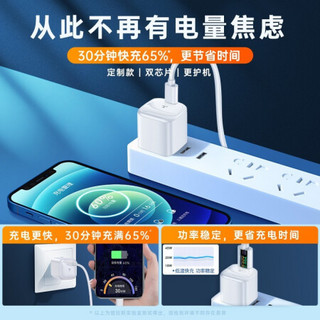 图拉斯苹果快充套装20w充电器pd头iPhone12/pro/max/11/xr手机线充小冰块 充电器+1.2米快充线