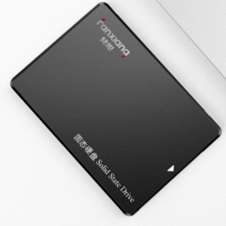 FANXIANG 梵想 S101 SATA 固态硬盘 240GB（SATA3.0）