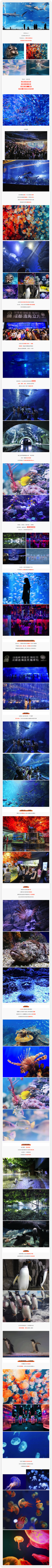 成都浩海立方海洋馆99元单人夜场票!有效期长达9月5日