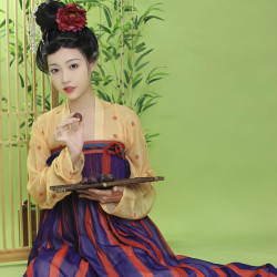 三山氿 长乐 唐制间色印花金丝对襟上襦齐胸裙 黄/红/蓝 S